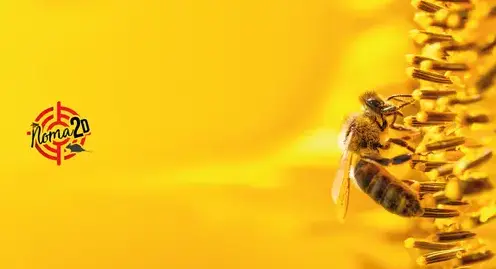 dératisation à Saint-Cyr-sur-Loir - image 4