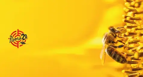 dératisation Tours-1