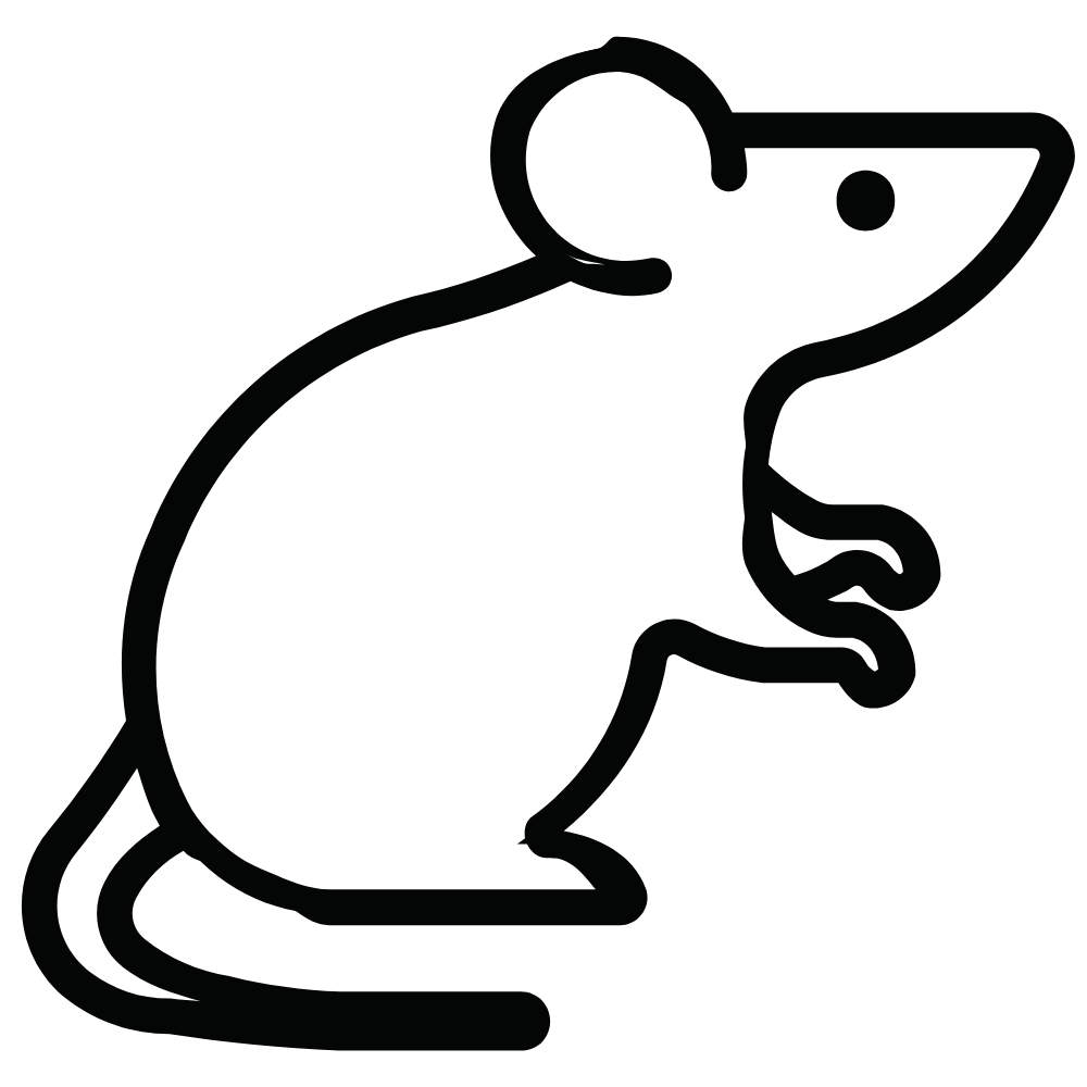 Dératisation icon