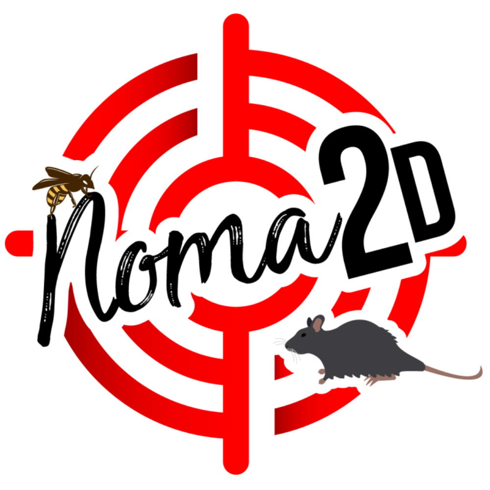 Noma 2D_logo